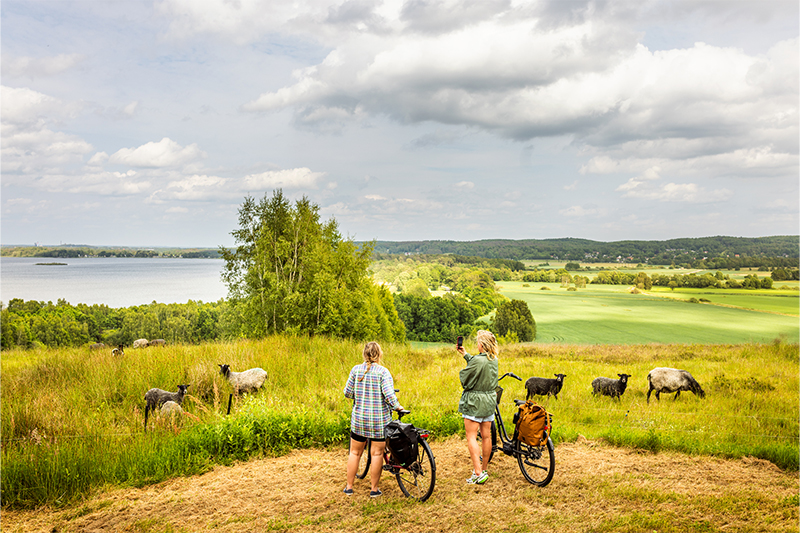 Två tjejer som beundrar utsikten över Finjasjön och fåren fåren som betar i hagen.