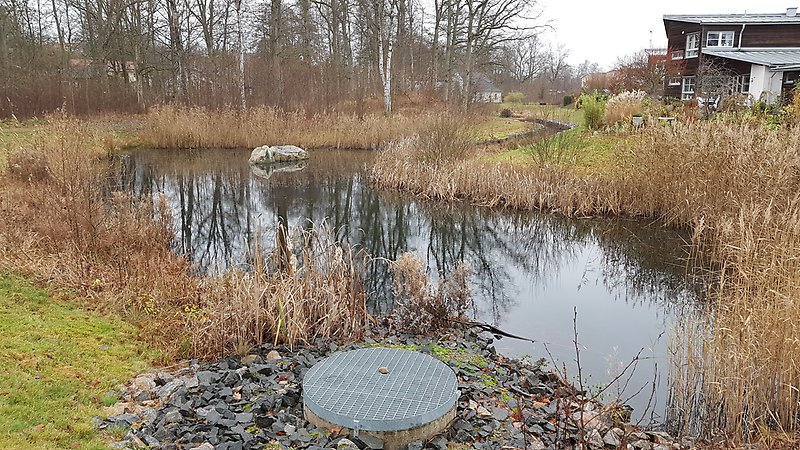 Anlagda våtmarker vid Ekbacka som gynnar biologisk mångfald och bidrar med trivsel för närboende och besökare.